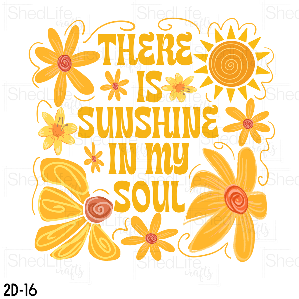 "There is Sunshine in my Soul" Apparel (2D-16)