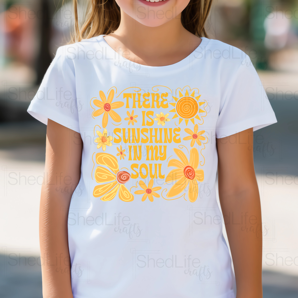 "There is Sunshine in my Soul" Apparel (2D-16)